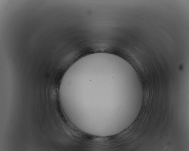X0000090440126200707131039