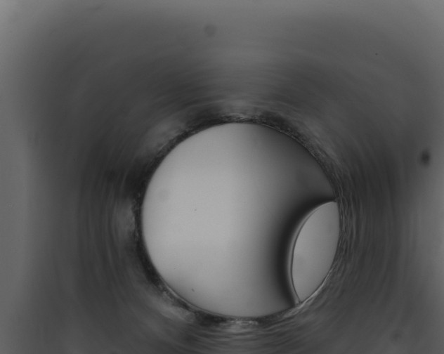 X0000090440128200707131039