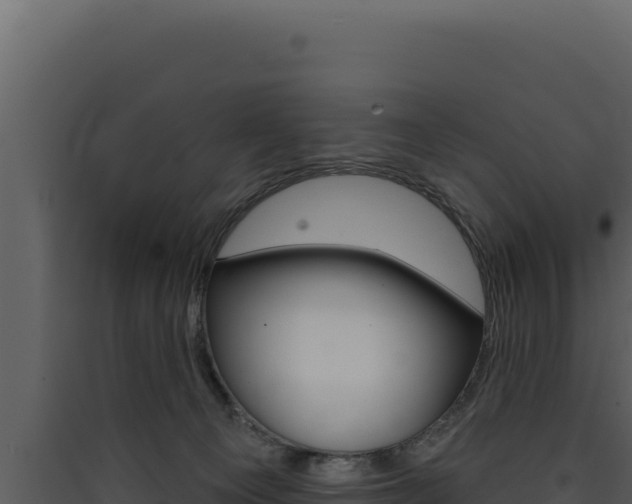 X0000090440129200707131039