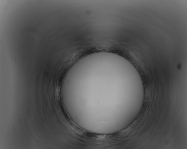 X0000090440130200707131039