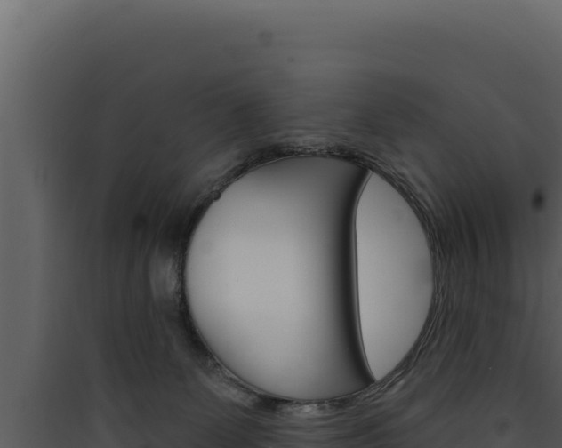 X0000090440131200707131039