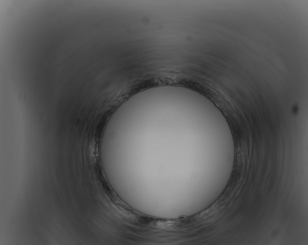 X0000090440134200707131039