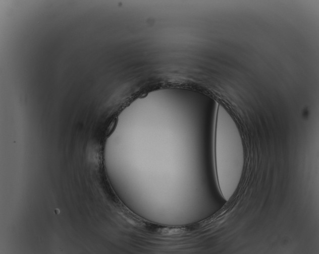X0000090440135200707131039