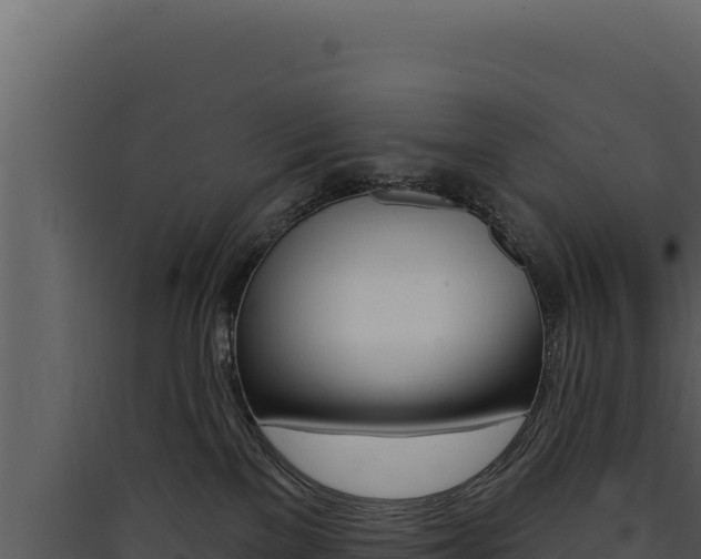 X0000090440137200707131039