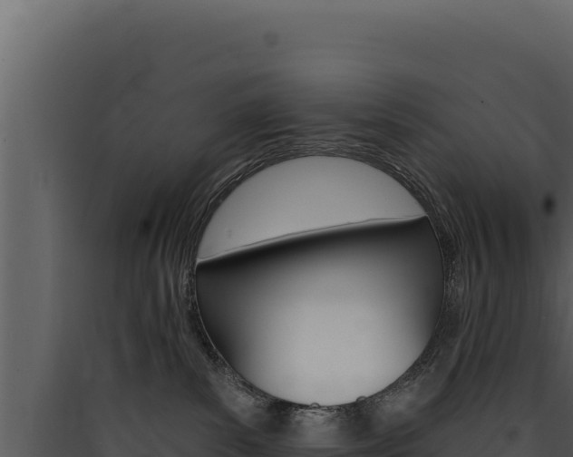 X0000090440139200707131038