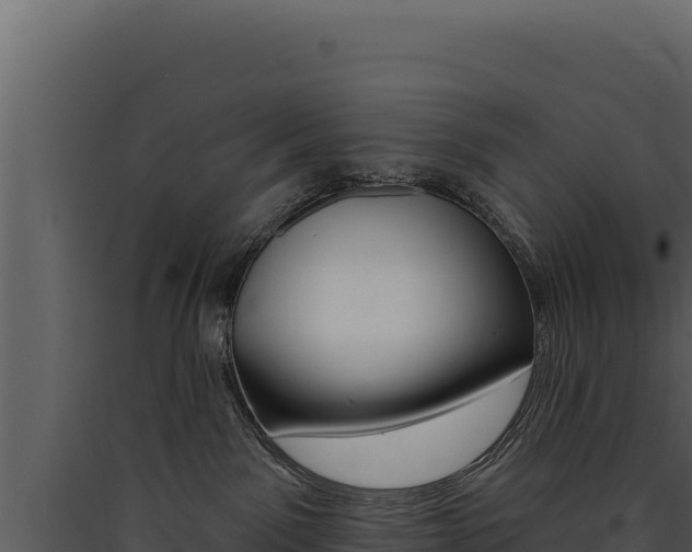 X0000090440141200707131038