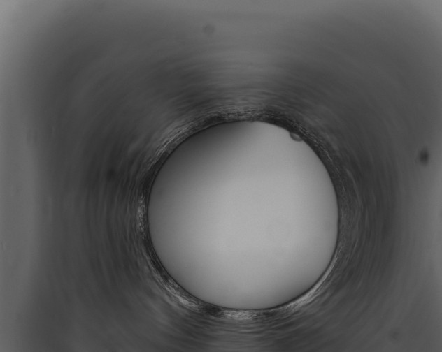 X0000090440144200707131038