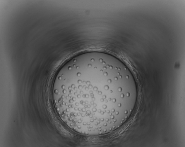 X0000090440145200707131038