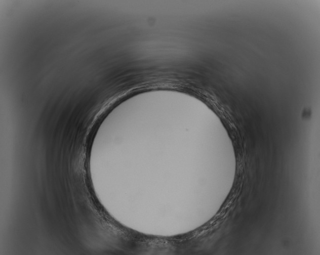 X0000090440146200707131038