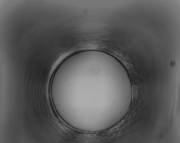 X0000090440147200707131038