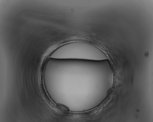 X0000090440149200707131038