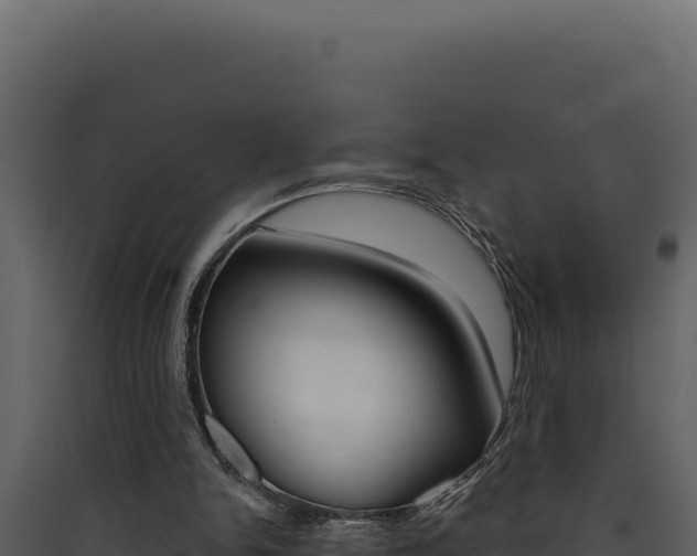 X0000090440150200707131038