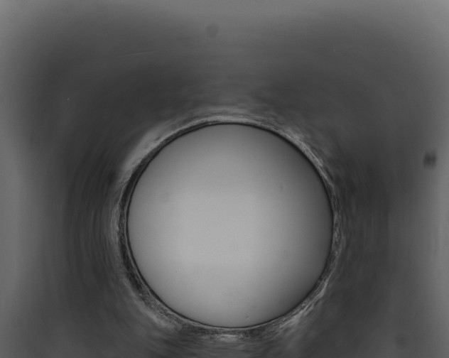 X0000090440151200707131038