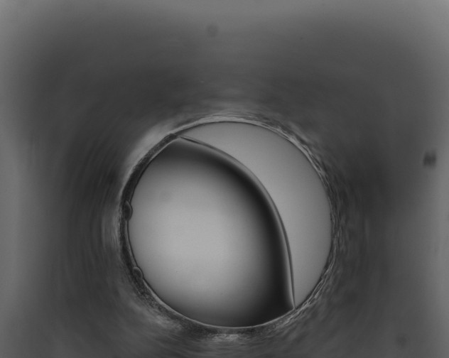 X0000090440152200707131038