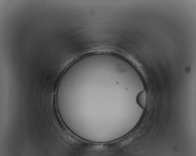 X0000090440153200707131038