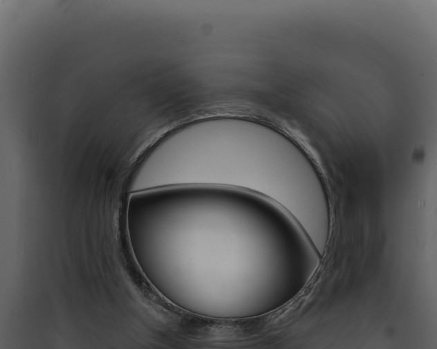 X0000090440154200707131038