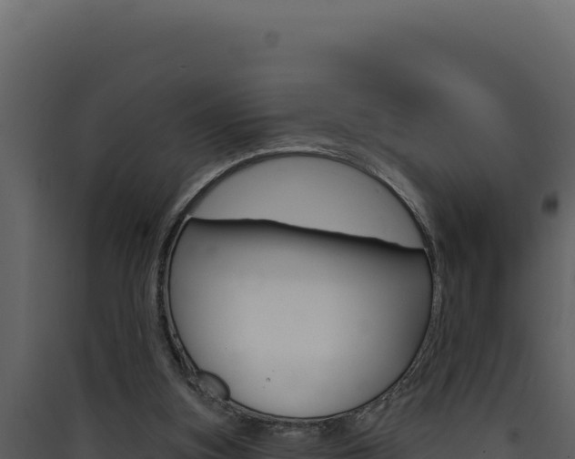X0000090440155200707131038