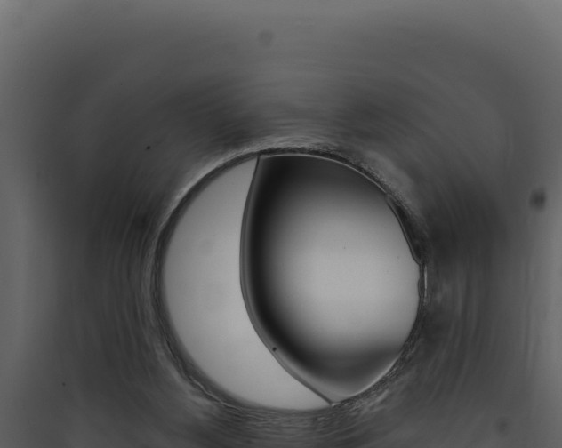 X0000090440156200707131038
