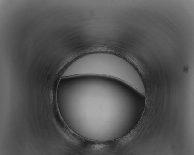 X0000090440158200707131038