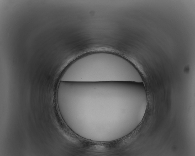 X0000090440159200707131038