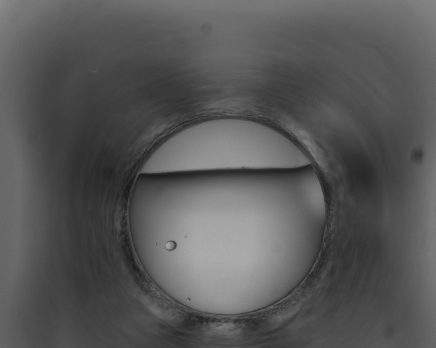 X0000090440161200707131038