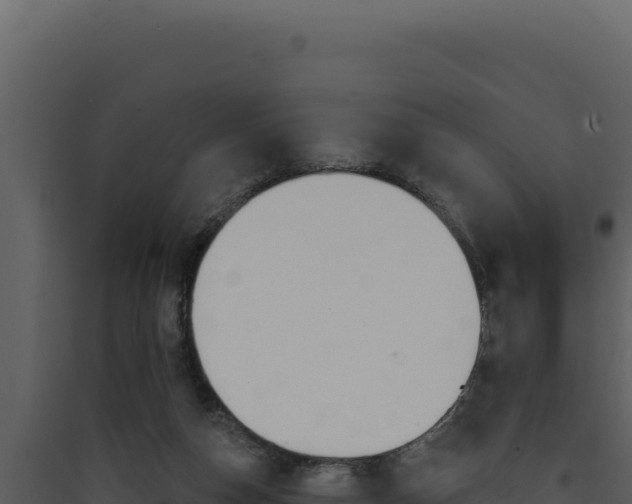 X0000090440162200707131038
