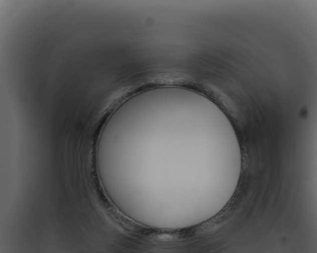X0000090440163200707131038