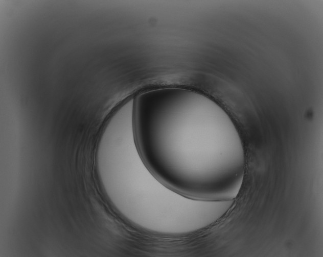 X0000090440164200707131038