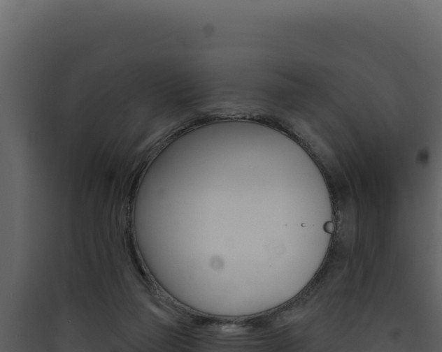 X0000090440165200707131038