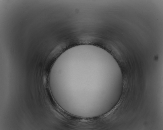X0000090440166200707131038