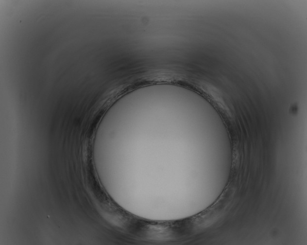 X0000090440167200707131038