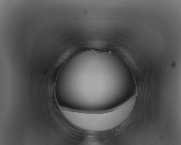 X0000090440168200707131038
