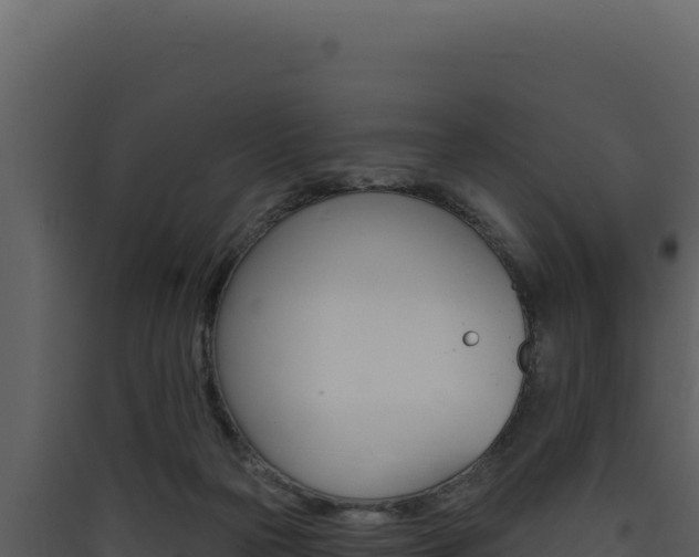 X0000090440169200707131038