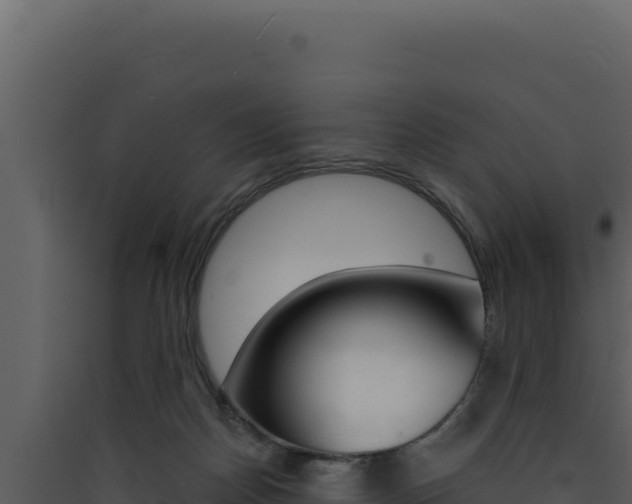 X0000090440170200707131038