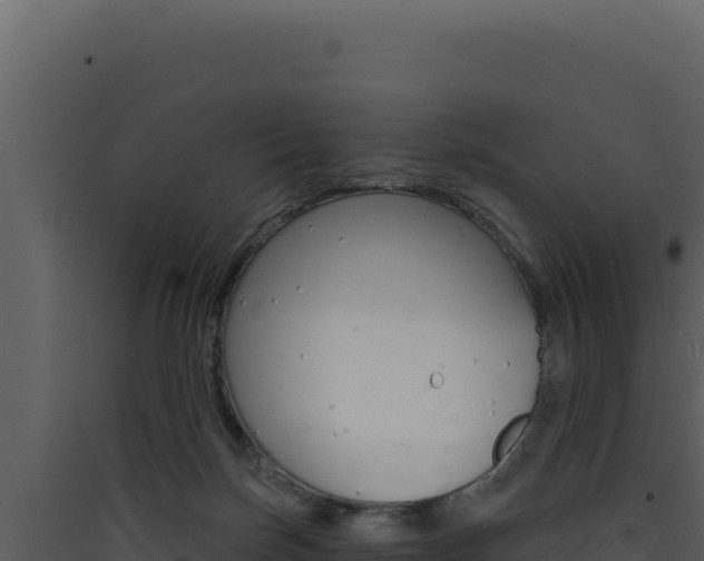 X0000090440171200707131038