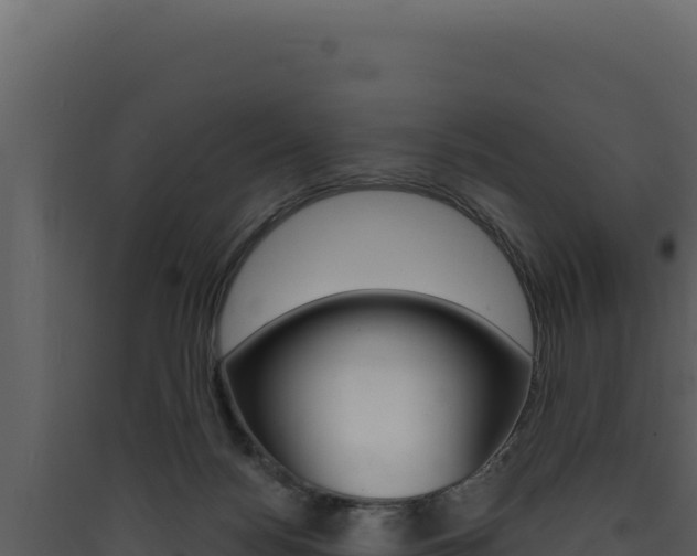 X0000090440172200707131038