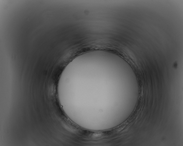 X0000090440173200707131038