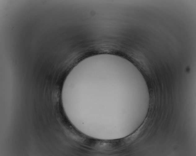 X0000090440174200707131038