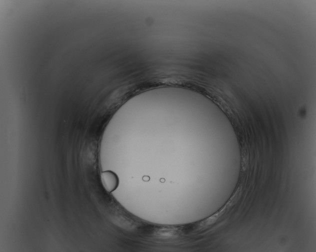 X0000090440175200707131038