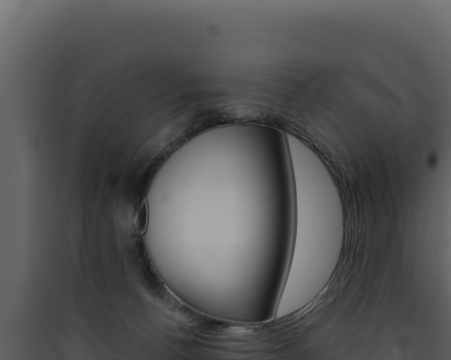 X0000090440176200707131038