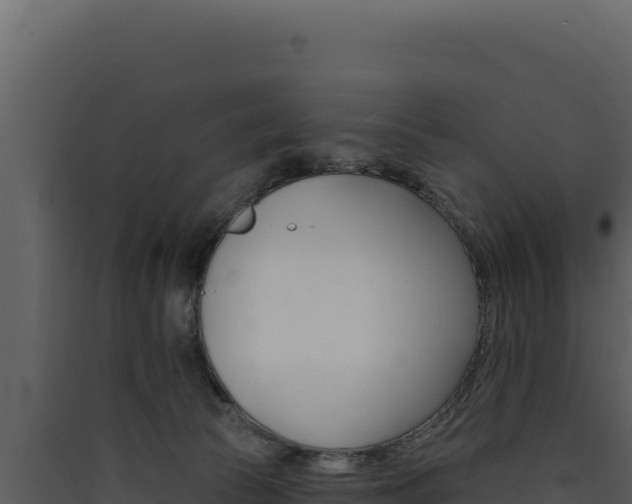 X0000090440177200707131038