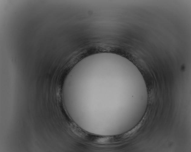 X0000090440178200707131038