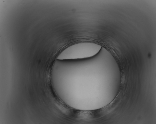 X0000090440179200707131038