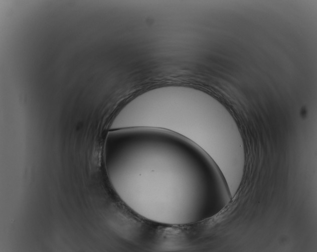 X0000090440180200707131038