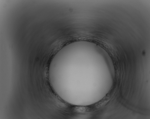 X0000090440181200707131038