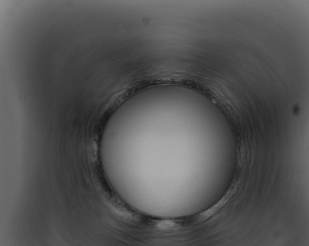 X0000090440183200707131038