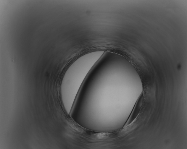 X0000090440184200707131038