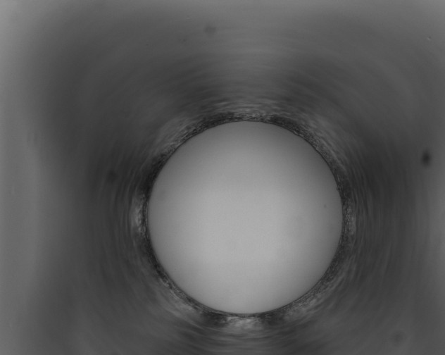 X0000090440185200707131038