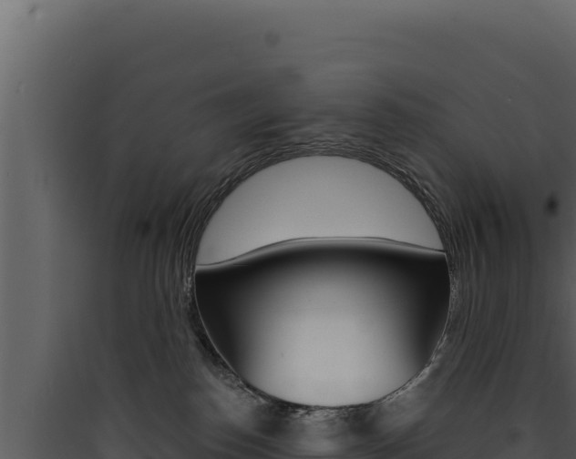 X0000090440186200707131038