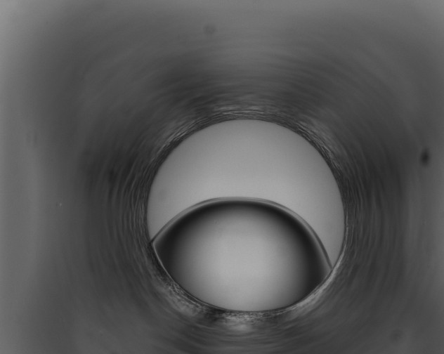 X0000090440190200707131038